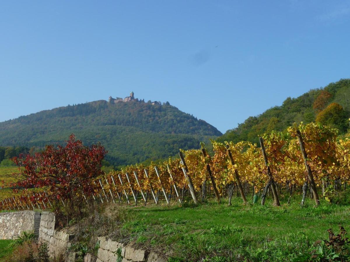 Gite D'Alsace L'Escale Остхайм Экстерьер фото
